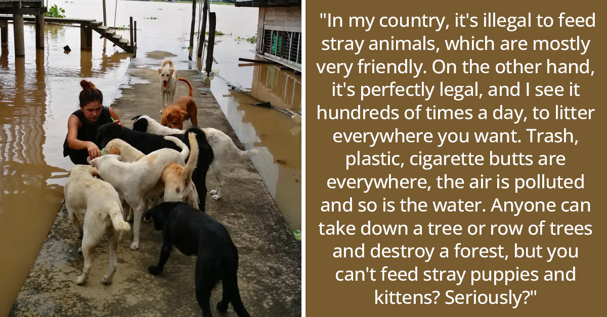 Netizens Share Things That are Technically Illegal But Not Ethically Wrong, And The Answers Are Very Controversial