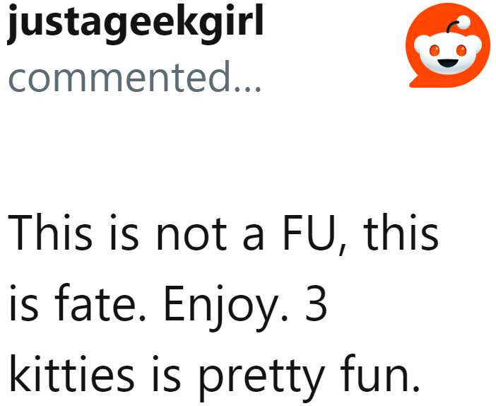 Now, the OP can look forward to a happy life with a human baby and three kitties.