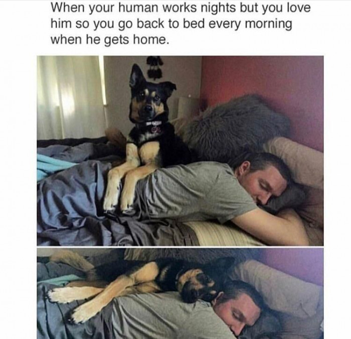 28. Loyalty knows no limits.