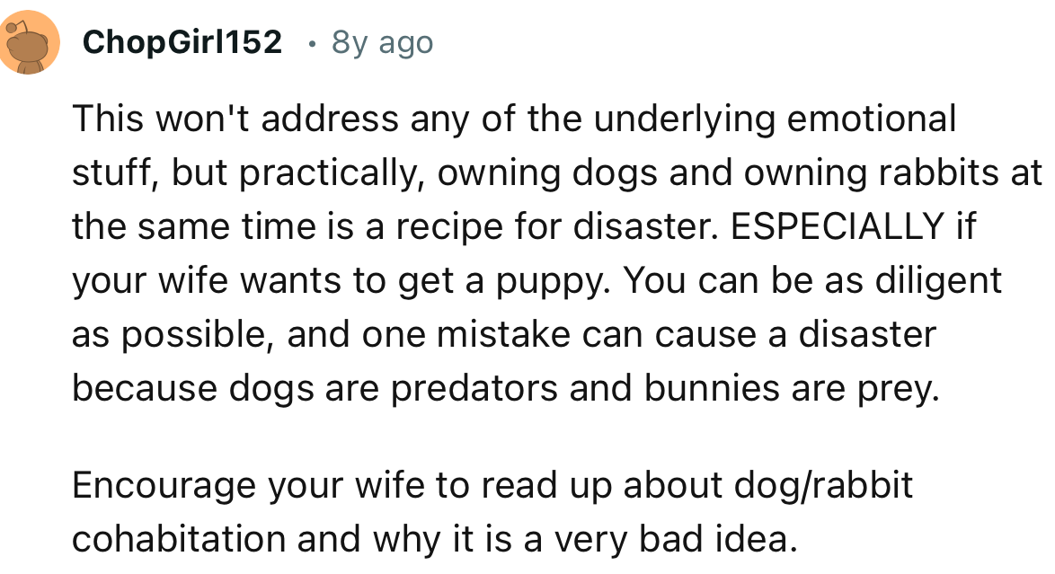 “Encourage your wife to read up about dog/rabbit cohabitation and why it is a very bad idea.”