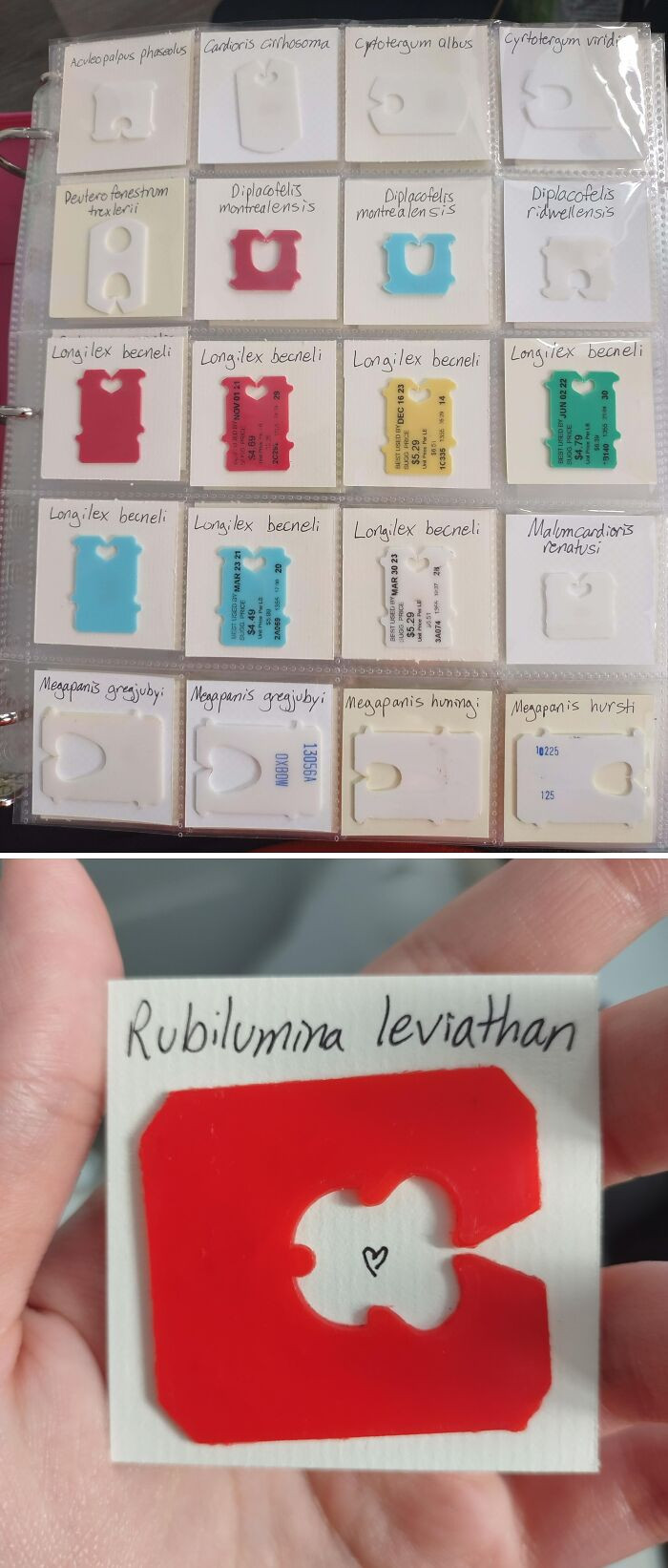 "A (Very) Brief Look At My Breadtab Collection. I Organize Them According To The Horg. com Taxonomic System"