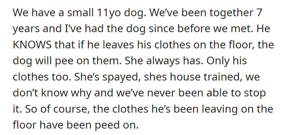 Dog consistently pees on partner's clothes left on the floor, despite being spayed and house-trained.