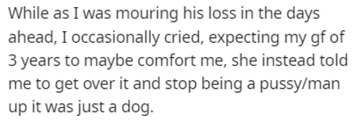 OP Was Mourning the Loss of His Dog, Which Was a Few Days Ahead