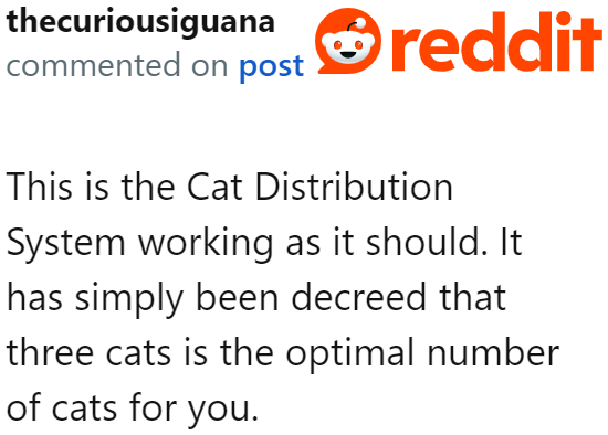 The Cat Distribution System was at work here.