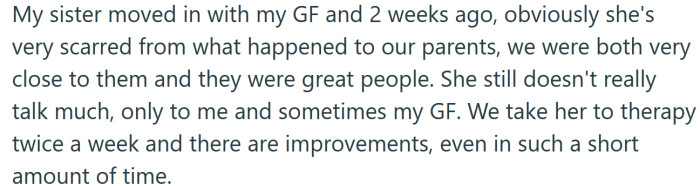 The Redditor and his girlfriend have been taking his sister to therapy.
