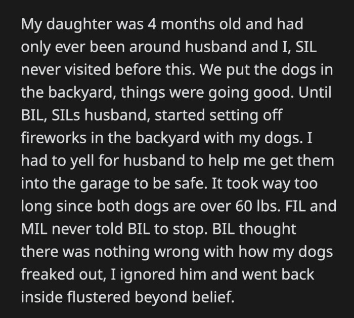 A year later, her SIL brought the incident up again and told OP it was the reason why she never warmed up to OP's kid