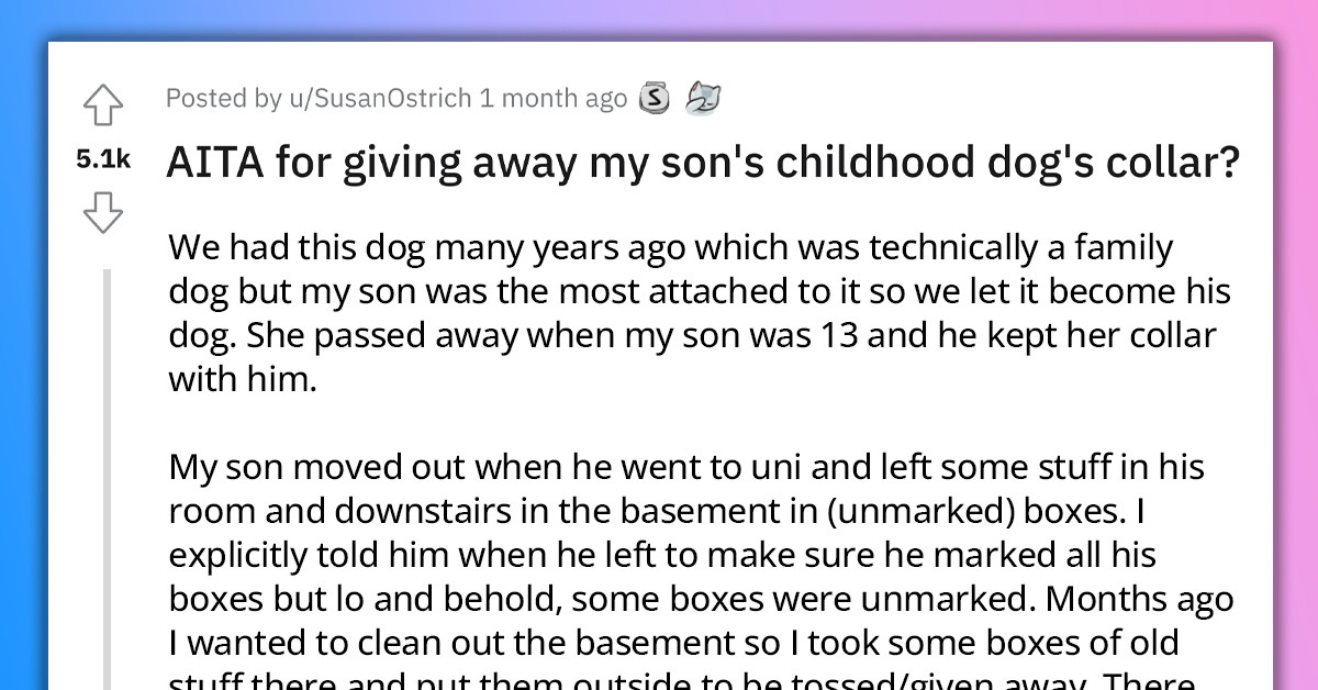Redditors Are Mad At This Parent For Giving Away Son's Childhood Dog's Collar