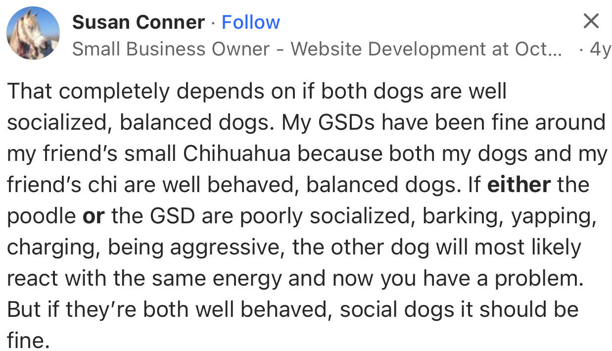 “That completely depends on if both dogs are well socialized, balanced dogs.”