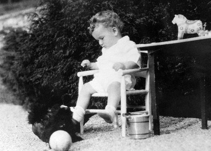 28. This is heartbreaking.