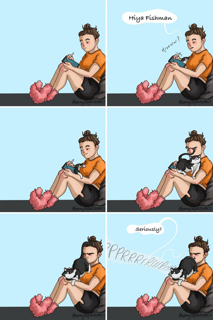 6. When your cat needs attention: