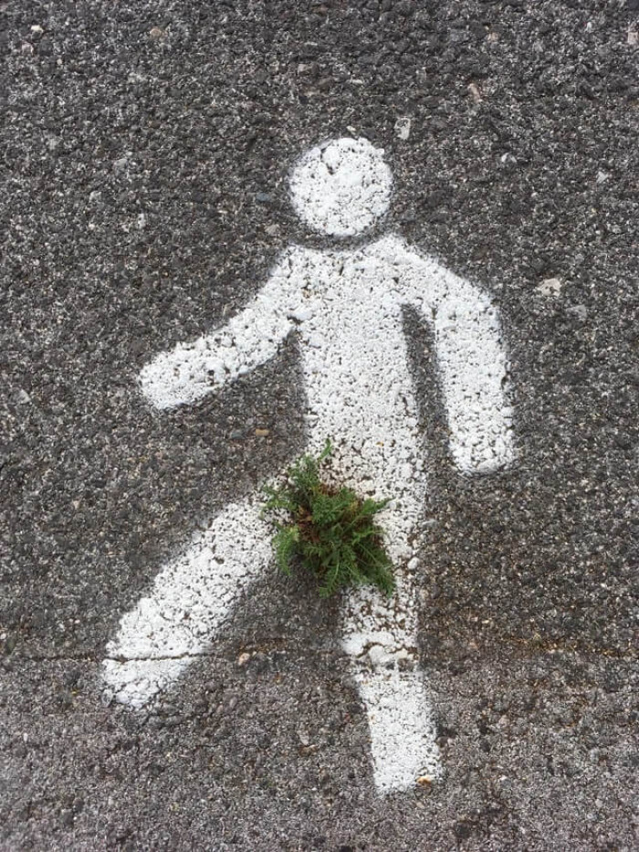 8. Nature censored this safety sign at work, so I can post it without an NSFW label