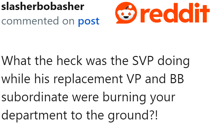 The SVP could have done better than leaving everything entirely up to the VP and the B*tch Boss.