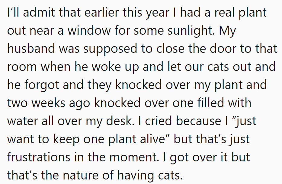 When plants and cats collide, it's a saga of spilled water and silent tears!