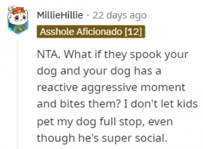 A Scared Dog is a Dangerous Dog