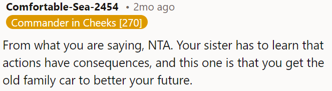 OP's sister needs to understand that actions have consequences.