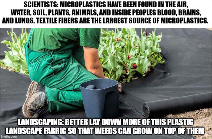 3. Scientists versus landscapers