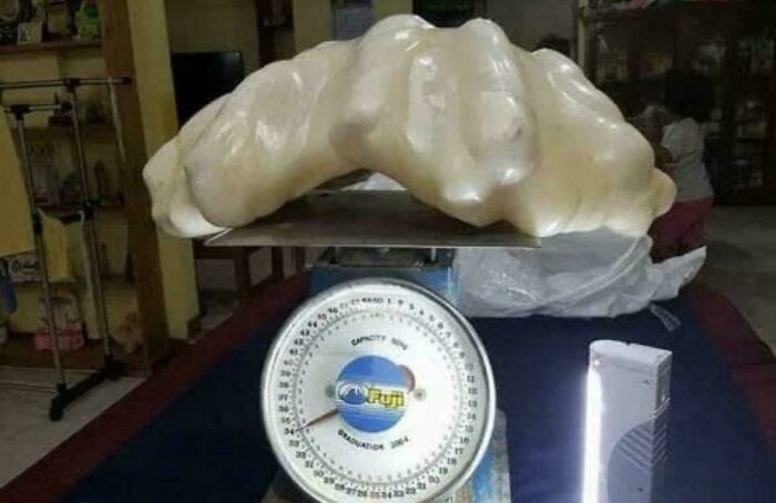 "A fisherman found the world’s largest pearl and kept it under his bed for 10 years."