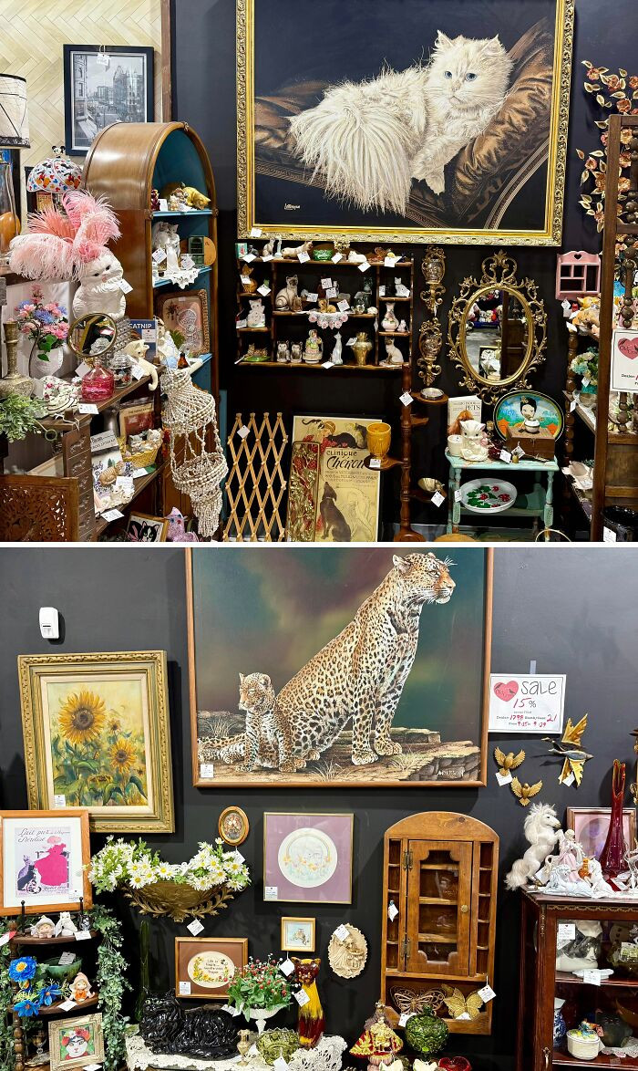 "I Told My Wife No More Cats Or Cat Paraphernalia… She Found Her Workaround"