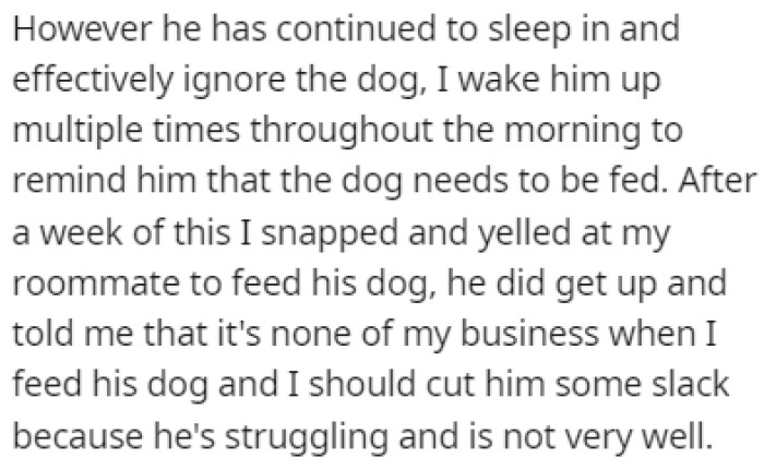 The roommate kept sleeping in and not feeding the dog in the mornings