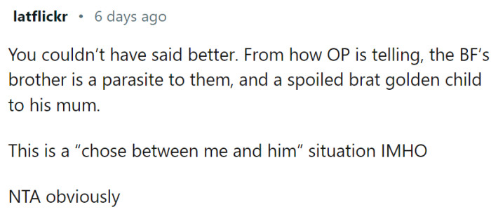 BF’s brother is a parasite and a golden child. Well, those two usually go together.