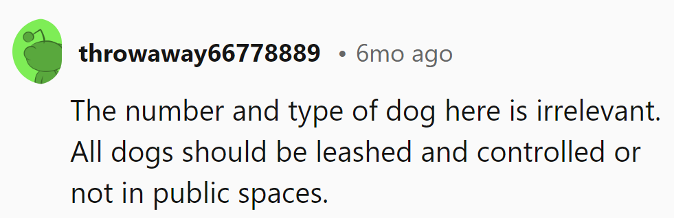 Leash and control matter more than breed or quantity; dog manners are universal etiquette!
