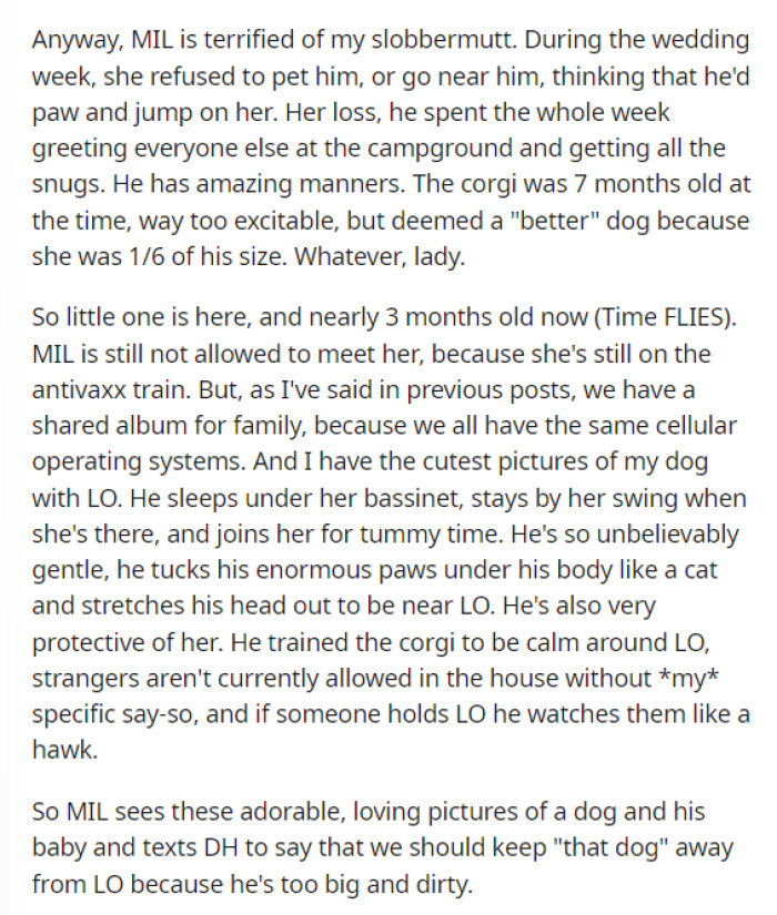 This is when OP goes into the details of why MIL doesn't like the dog and how she stated that their LO shouldn't be around the dog at all because it is 