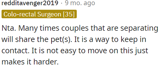 When couples separate, they often share their pets.