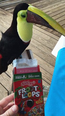 23. Froot Loops have the same flavor, no matter the color