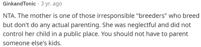 It is not the responsibility of others to parent someone else's children