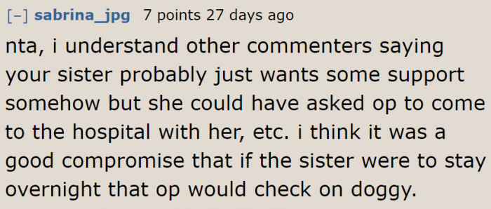 The OP's proposal to check on the dog was already a good compromise.