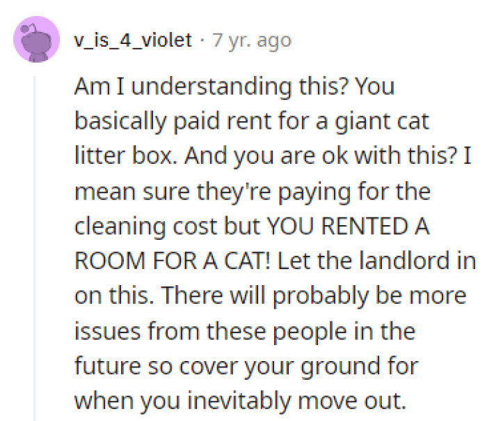 Renting a cat room