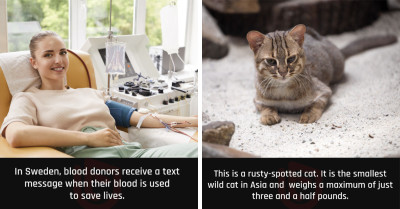 Here Are 50 Fascinatingly 'Unbelievable Facts' That Are Ideal for Anyone Seeking to Learn Something New