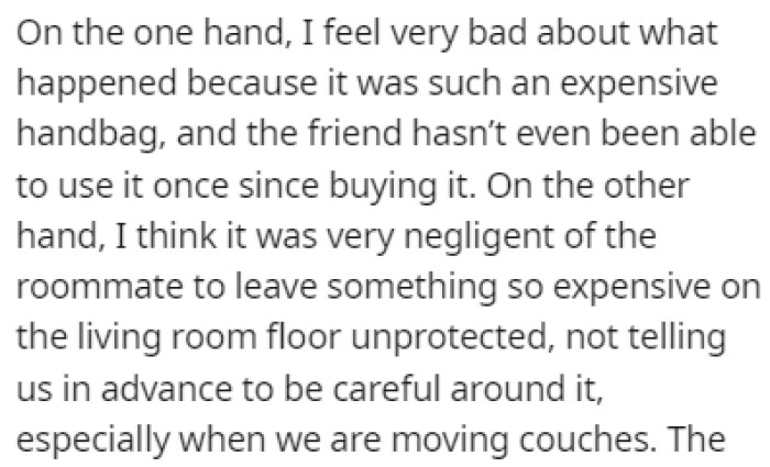 OP feels bad about what she did, but she also feels like it wasn't totally her fault