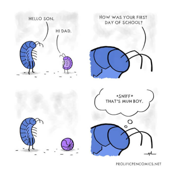 11. First Day of School