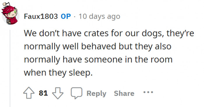 Here is OP’s response. OP is out overnight, so that’s probably why the dogs aren’t well-behaved?