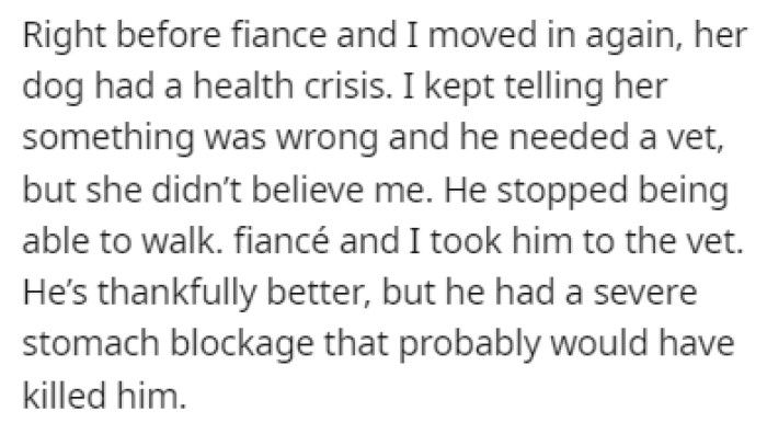 The mom's dog had a significant health issue before OP moved in, but luckily, they took care of it