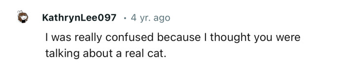 Many people would think the confrontation is about a real cat