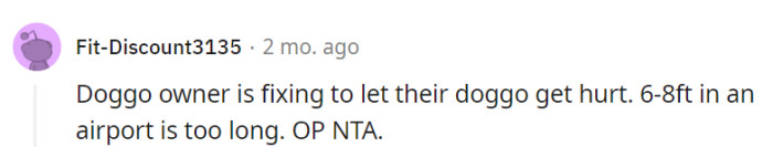 A Leash That Long Is an Accident Waiting to Happen...