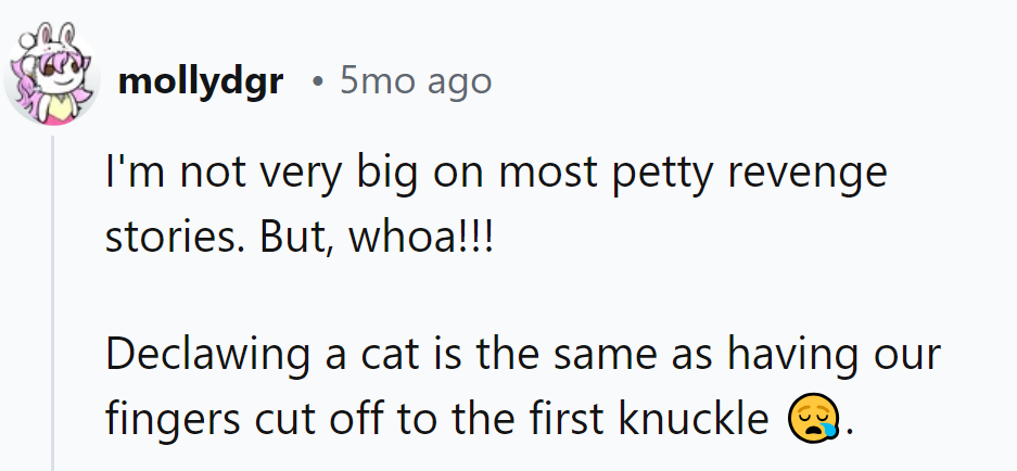 Petty revenge? Let's paws and reflect.