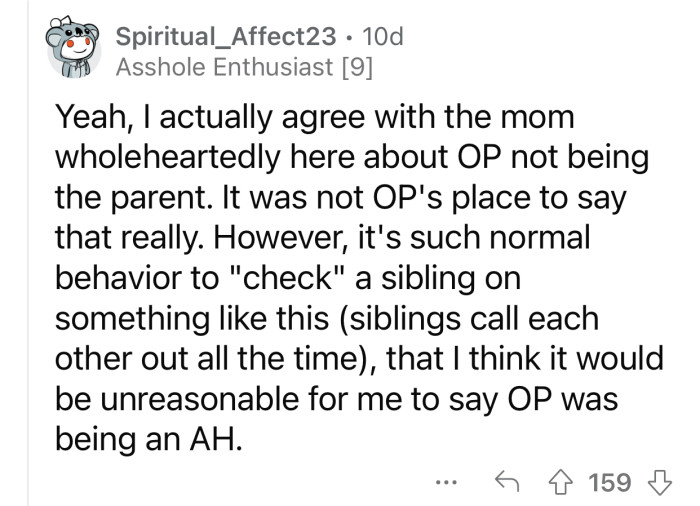 It's not OP's responsibility to parent her sister, but she has a point.