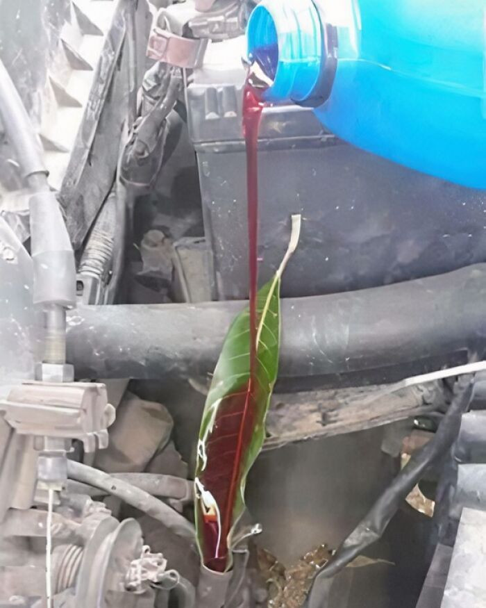 "The Next Level Of Top Up Engine Oil"