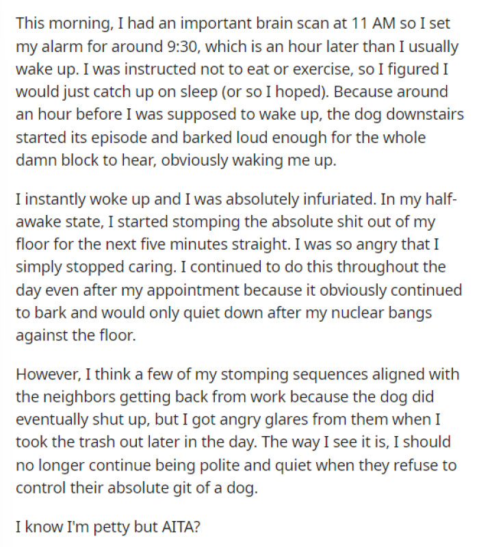 Then OP goes into explaining what they decided to do in order to try to quiet the dog down, but also mentions that the neighbors must have heard them stomping as well.