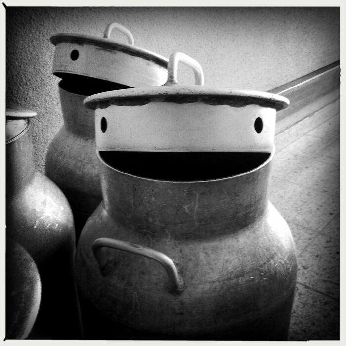 5. This milk can is so happy