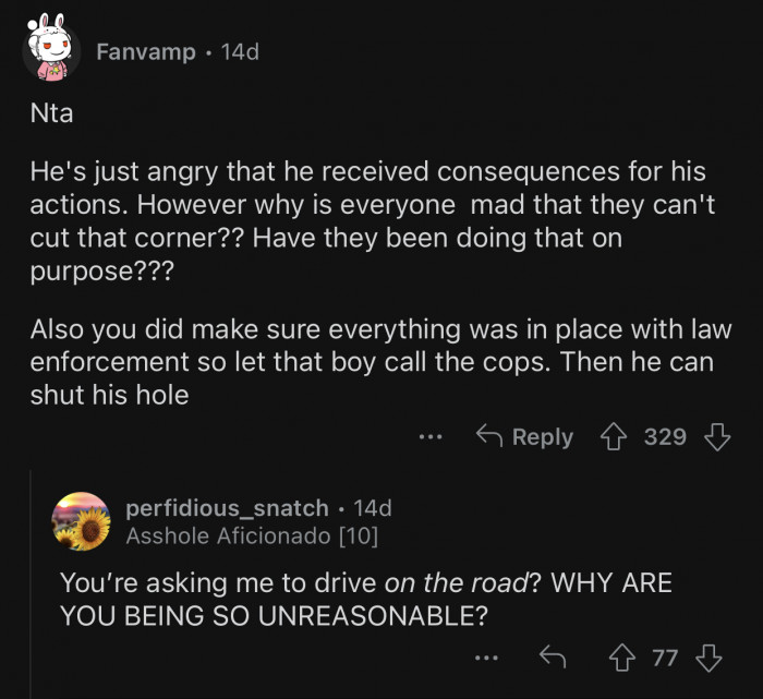 You're supposed to drive on the road, not only on people's lawns.