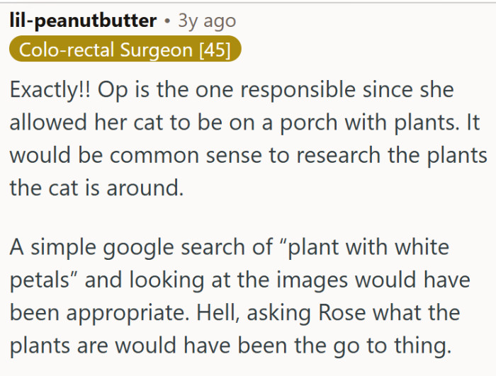 OP is to blame... Pet ownership brings a set of responsibilities...