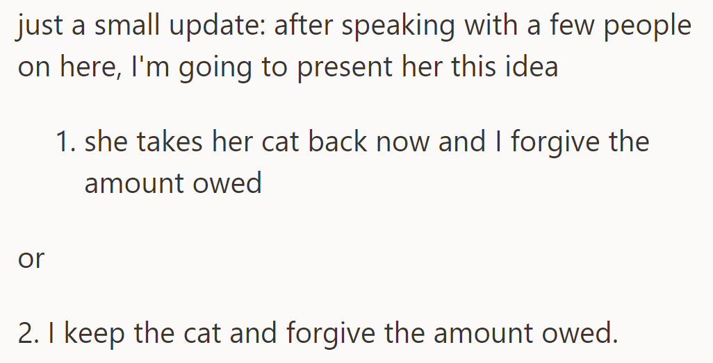 Update: Considering feedback, OP will propose two options to resolve the situation with the cat and debt.