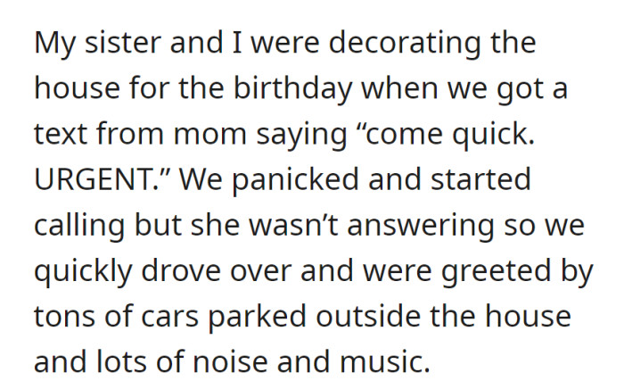 While decorating, OP's sister received an urgent text from their mom and rushed over to find a lively gathering with cars and music.