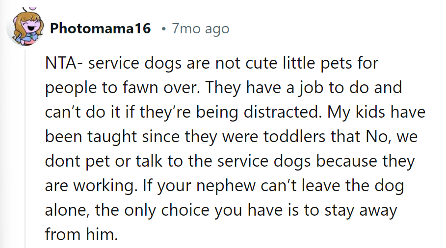 Service dogs don't do 'fetch'; they do tasks. If the nephew can't learn, we'll just 'stay and obey' elsewhere.