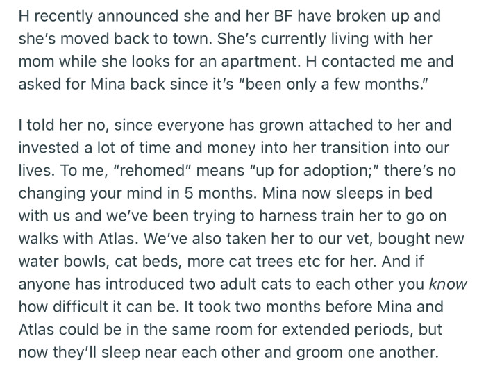 She returned after breaking up with her boyfriend. Interestingly, she informed OP about her plans to take Mina back, but OP wasn’t having any of that