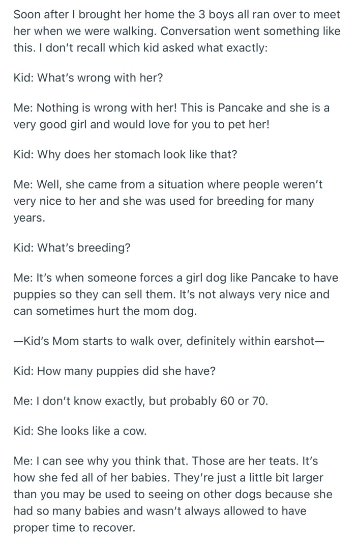 As soon as OP brought her dog home, this is how the conversation went with the 3 boys and their mom